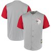 Cincinnati Reds Blank 1956 Grey Throwback Jersey - All Stitched