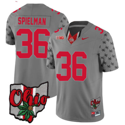 Chris Spielman Ohio State Buckeyes Football Ohio Concept Grey Jersey - All Stitched
