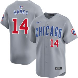 Ernie Banks Chicago Cubs Grey Road Limited Jersey - All Stitched