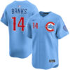 Ernie Banks Chicago Cubs Blue Alternate Limited Jersey - All Stitched