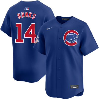 Ernie Banks Chicago Cubs Royal Blue Alternate Limited Jersey - All Stitched