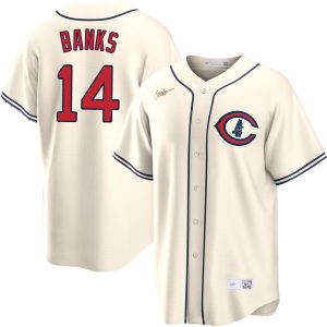 Ernie Banks Chicago Cubs Cream Field Of Dreams Jersey - All Stitched