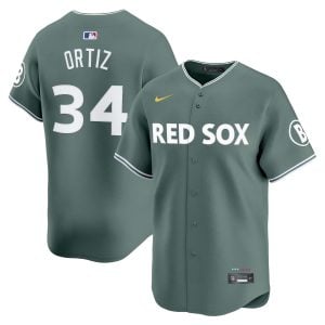 David Ortiz Boston Red Sox Green City Connect Theme Jersey - All Stitched
