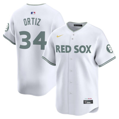David Ortiz Boston Red Sox White City Connect Theme Jersey - All Stitched