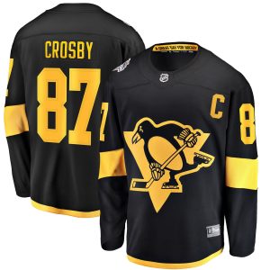 Sidney Crosby Pittsburgh Penguins Black 2019 Stadium Series Jersey - All Stitched