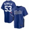 Dan Altavilla Italy Baseball 2026 World Baseball Classic Royal Road Jersey - All Stitched