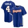 Javier Sanoja Venezuela Baseball 2026 World Baseball Classic Royal Road Jersey - All Stitched