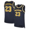 Yaxel Lendeborg Michigan Wolverines Basketball Navy Limited Jersey - All Stitched