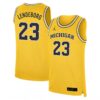 Yaxel Lendeborg Michigan Wolverines Basketball Maize Limited Jersey - All Stitched